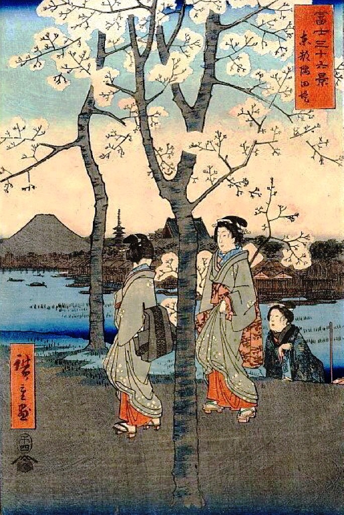 Cherry Tree, Hiroshige (19th century, Japan)