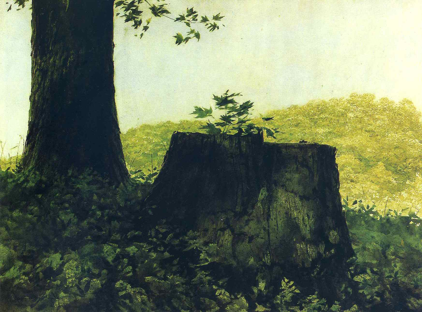 New Growth, Jamie Wyeth (1971, American)